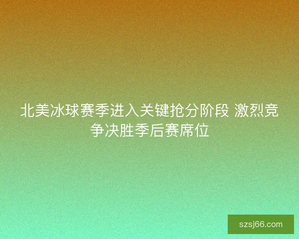 北美冰球赛季进入关键抢分阶段 激烈竞争决胜季后赛席位