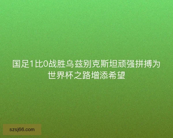 国足1比0战胜乌兹别克斯坦顽强拼搏为世界杯之路增添希望